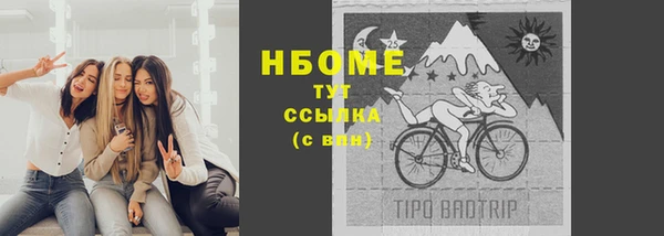 стаф Абаза