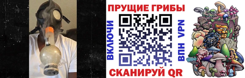 ОМГ ОМГ ТОР  Новокузнецк  Галлюциногенные грибы Cubensis 