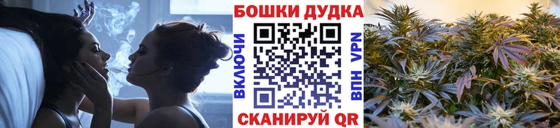 купить наркотики сайты Новокузнецк Каннабис план